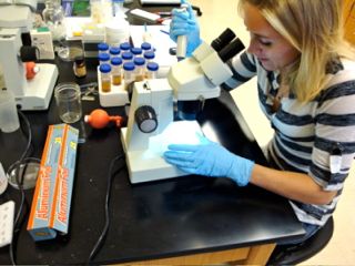 Jessica Van Ausdall isolating ciliates